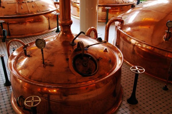 Le kit de brassage, pour la fabrication et la fermentation de nombreuses bières